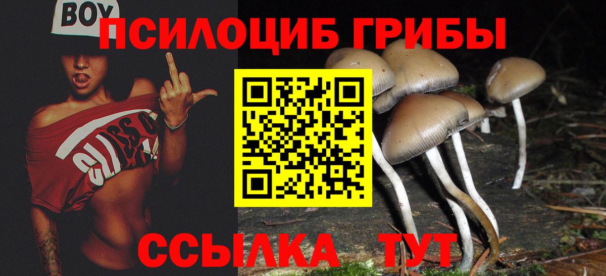 закладки  Вход с VPN  Кизляр  Галлюциногенные грибы MAGIC MUSHROOMS 